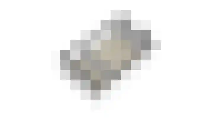Virulypad 31 Leiden thumbnail 16