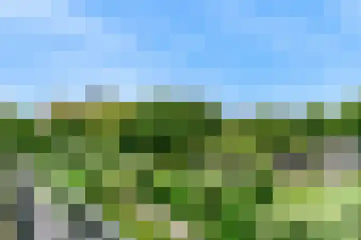 Virulypad 31 Leiden thumbnail 16