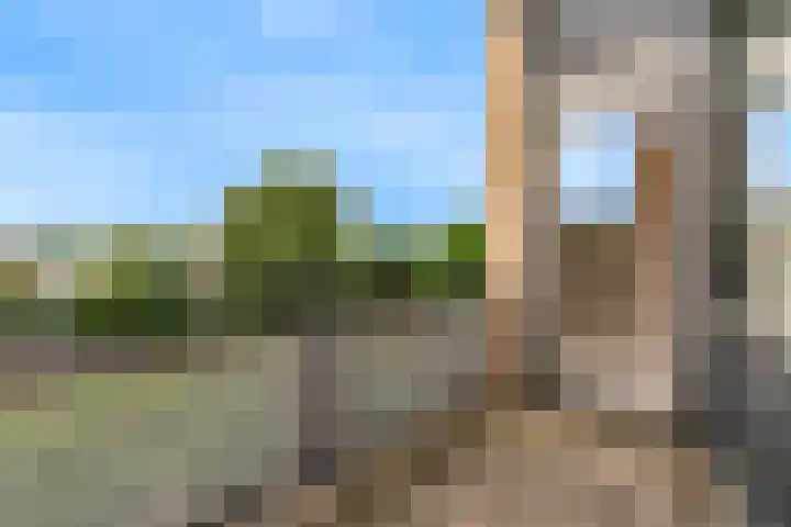 Virulypad 31 Leiden thumbnail 18