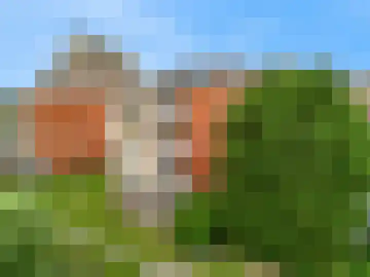 Virulypad 31 Leiden thumbnail 23