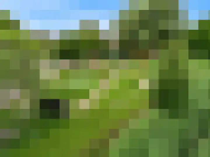 Virulypad 31 Leiden thumbnail 24