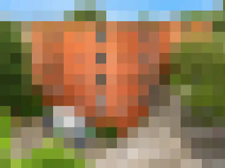 Virulypad 31 Leiden thumbnail 4