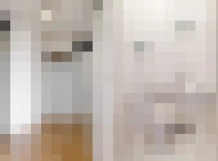 Virulypad 31 Leiden thumbnail 5