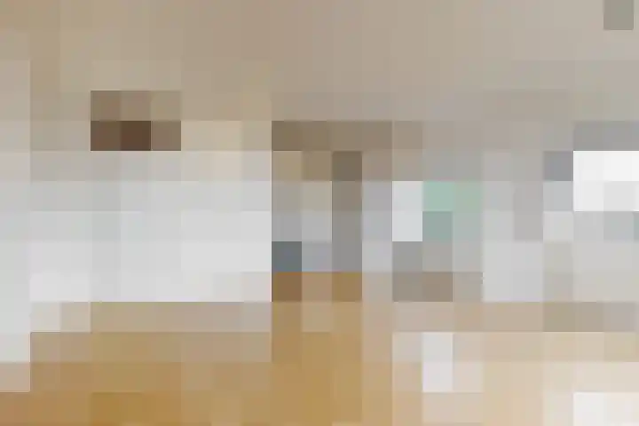 Virulypad 31 Leiden thumbnail 7