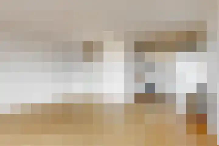 Virulypad 31 Leiden thumbnail 8