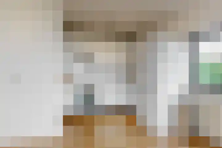 Virulypad 31 Leiden thumbnail 9