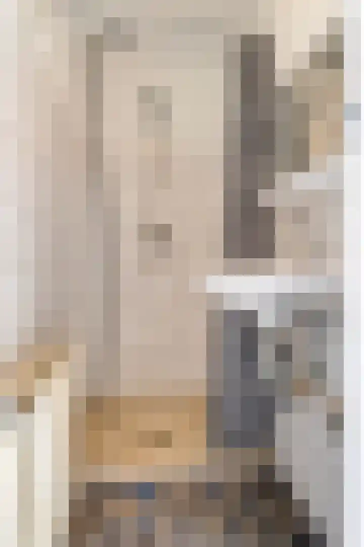 Visartstraat 9 Sluiskil thumbnail 12