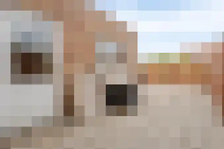Visartstraat 9 Sluiskil thumbnail 20