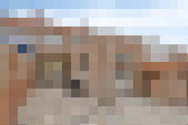 Visartstraat 9 Sluiskil thumbnail 22