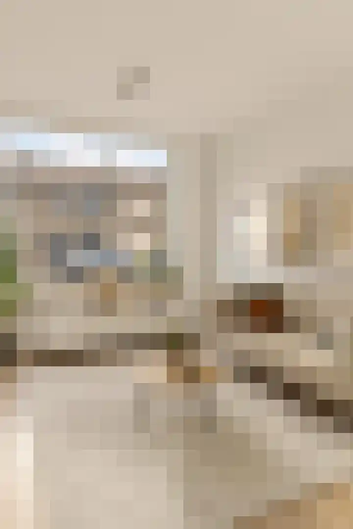 Visartstraat 9 Sluiskil thumbnail 5