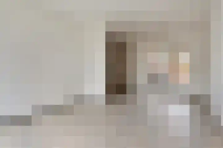 Visartstraat 9 Sluiskil thumbnail 6