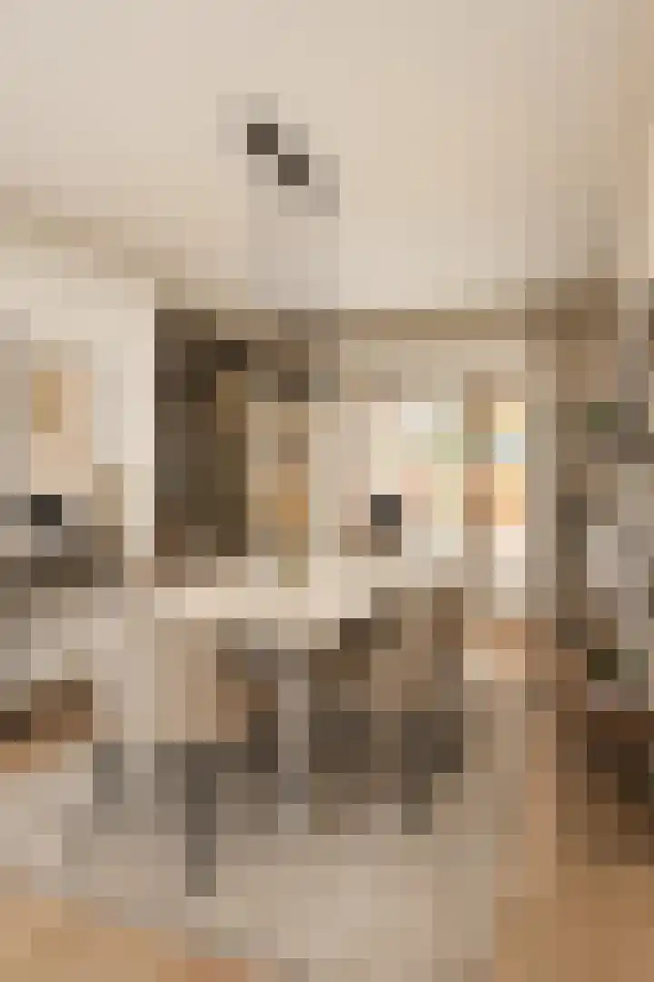 Visartstraat 9 Sluiskil thumbnail 7
