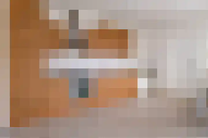 Visartstraat 9 Sluiskil thumbnail 8