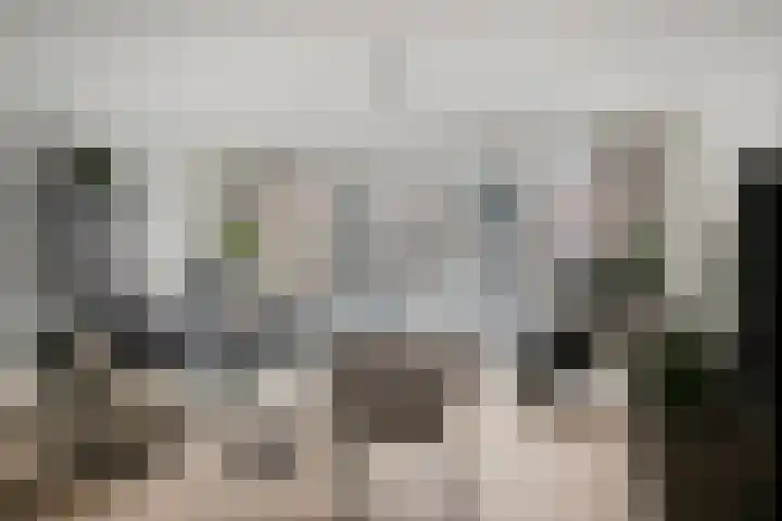 Visbrug 13 Hulst thumbnail 15