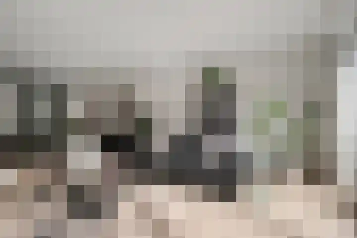 Visbrug 13 Hulst thumbnail 17