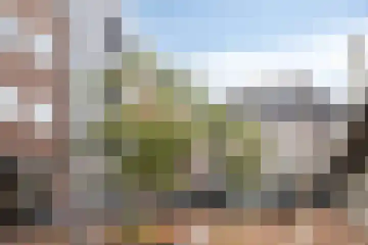 Visbrug 13 Hulst thumbnail 6