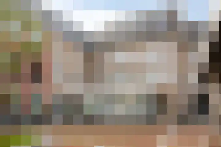 Visbrug 13 Hulst thumbnail 7