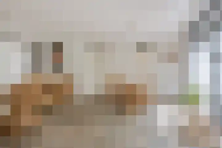 Screenshot der Website von www.visch-vanzeggelaar.nl