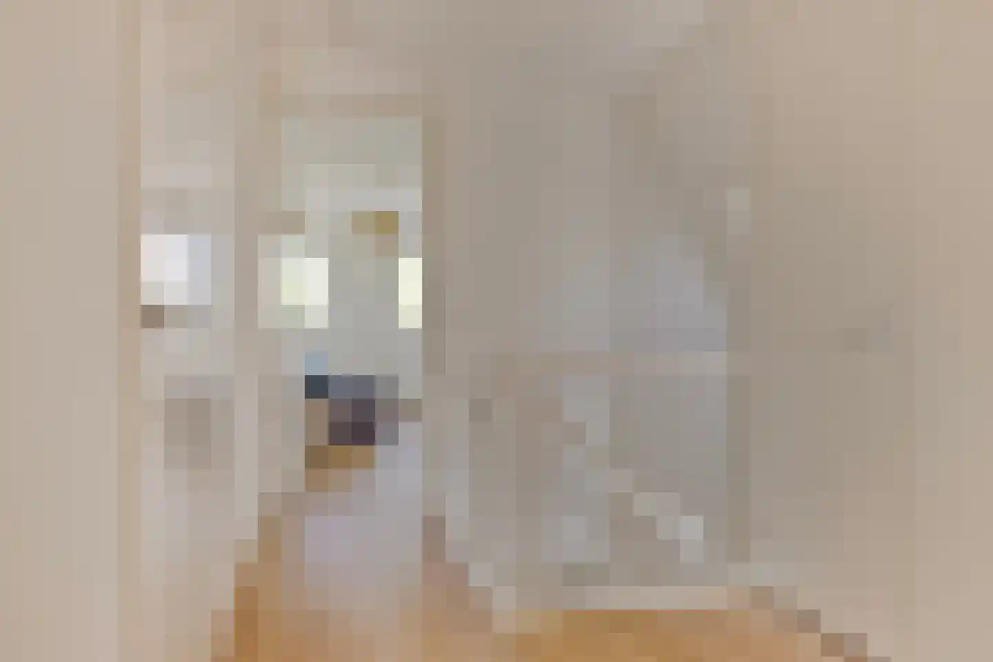Viscoselaan 30 A Ede thumbnail 29