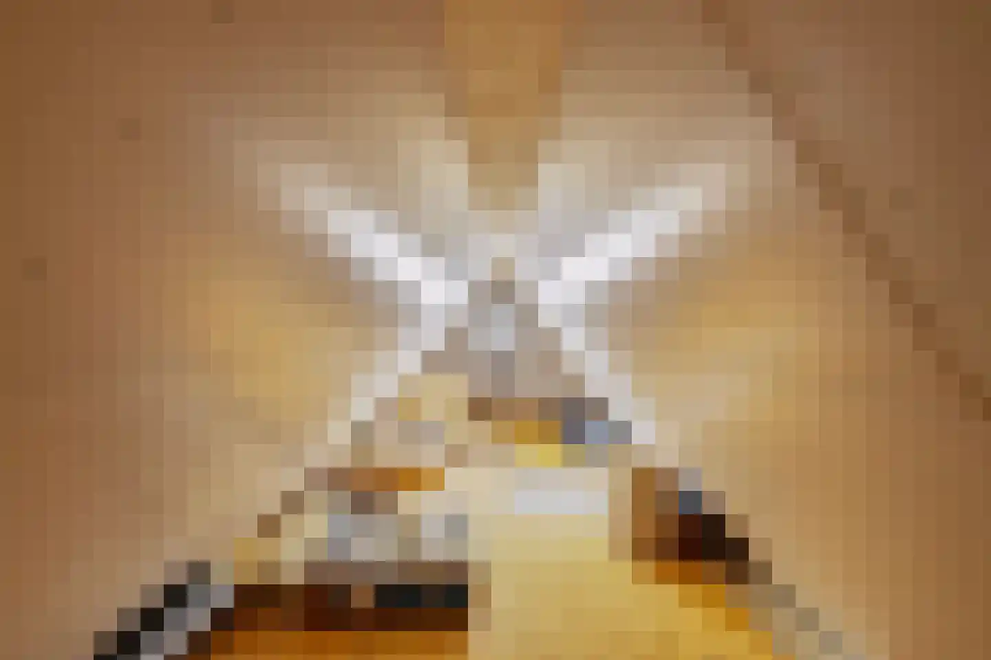 Viscoselaan 30 A Ede thumbnail 30