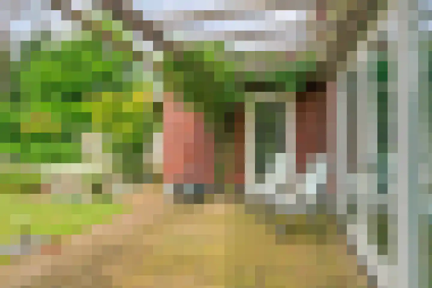 Viscoselaan 30 A Ede thumbnail 33