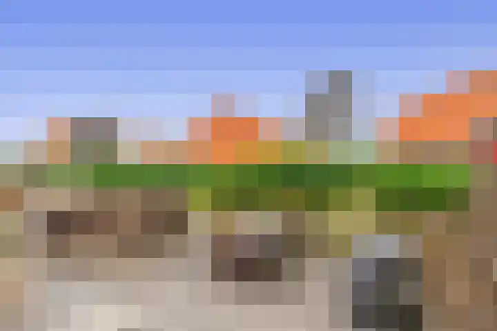 Visdijk 21 Den Haag thumbnail 31