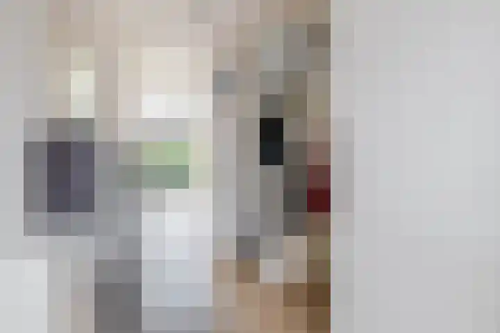 Visdijk 21 Den Haag thumbnail 8
