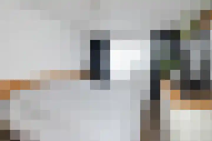 Viskuil 3 Andijk thumbnail 13
