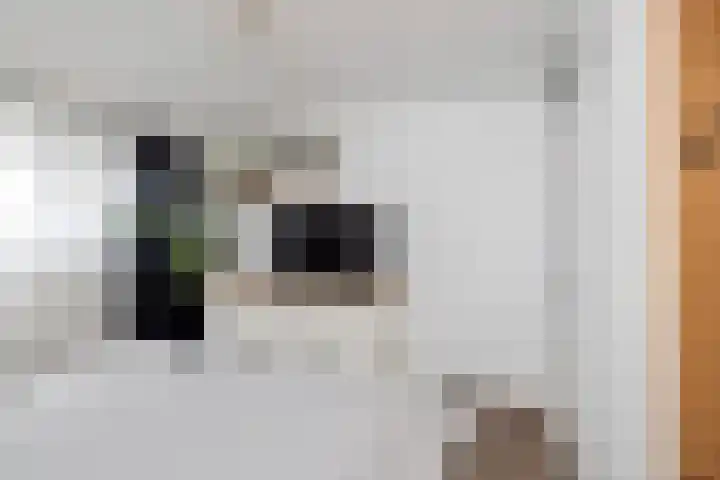 Viskuil 3 Andijk thumbnail 14