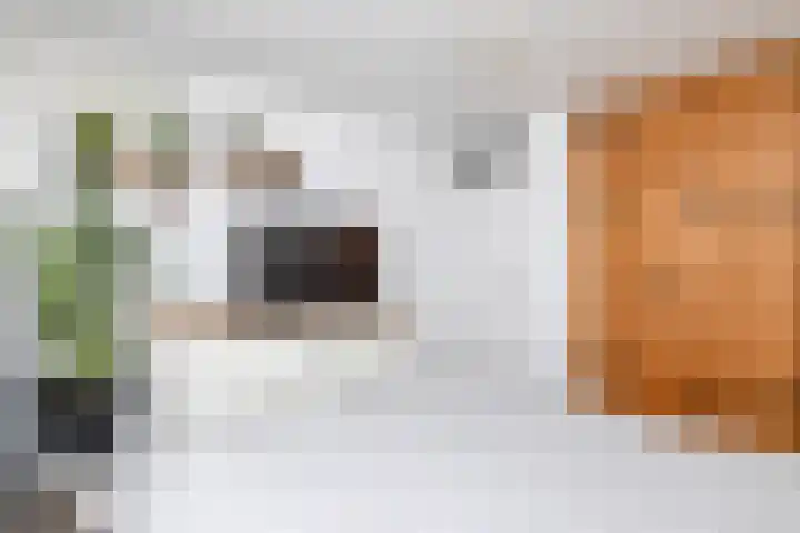 Viskuil 3 Andijk thumbnail 15