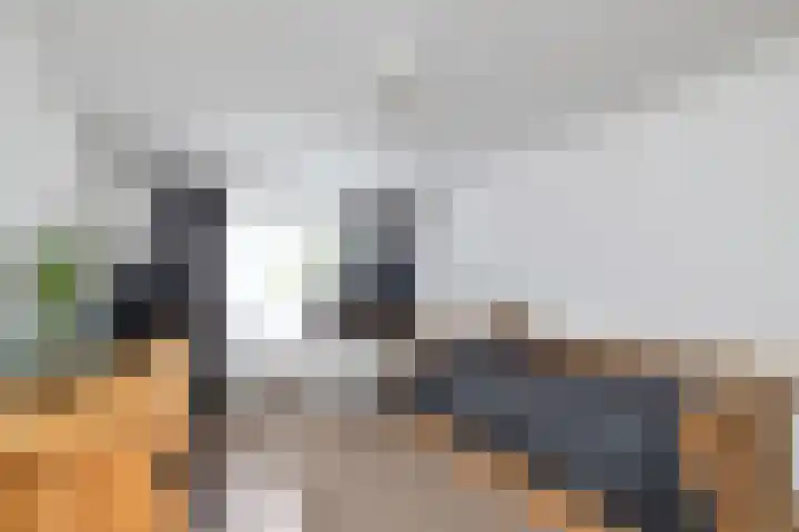 Viskuil 3 Andijk thumbnail 21