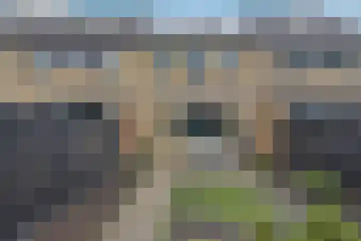 Viskuil 3 Andijk thumbnail 32