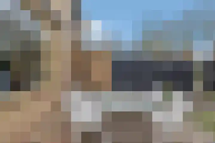 Viskuil 3 Andijk thumbnail 33