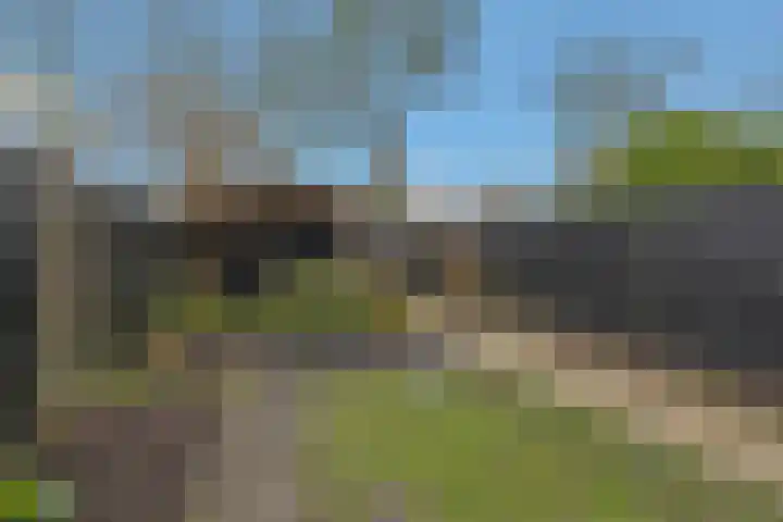 Viskuil 3 Andijk thumbnail 34