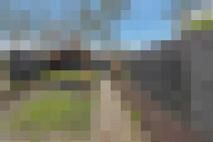 Viskuil 3 Andijk thumbnail 35