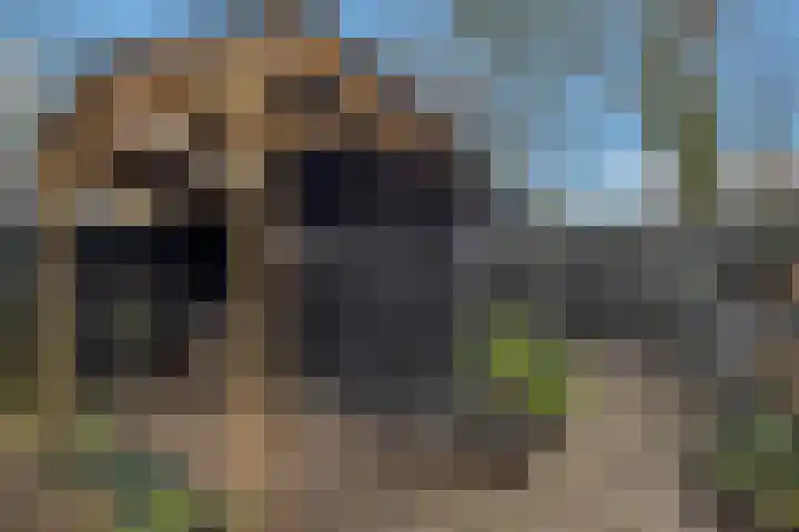 Viskuil 3 Andijk thumbnail 36