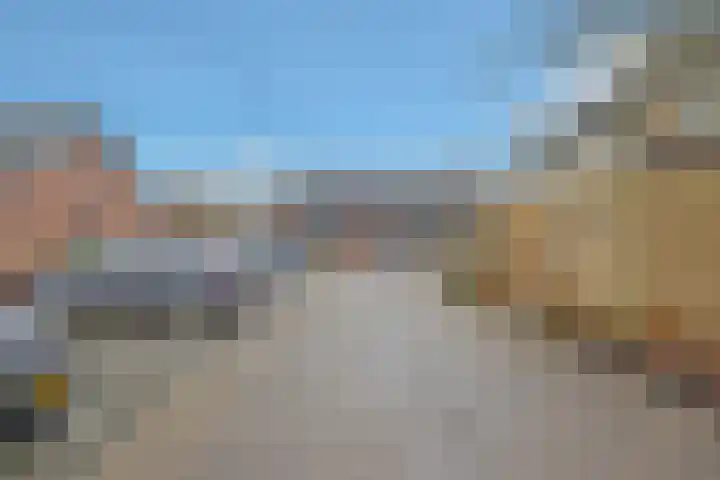 Viskuil 3 Andijk thumbnail 37