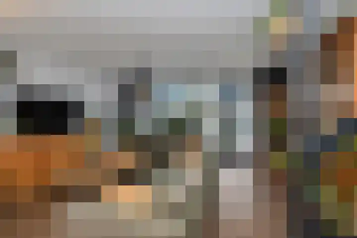 Viskuil 3 Andijk thumbnail 4