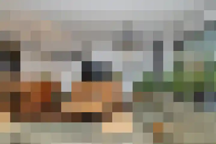 Viskuil 3 Andijk thumbnail 7