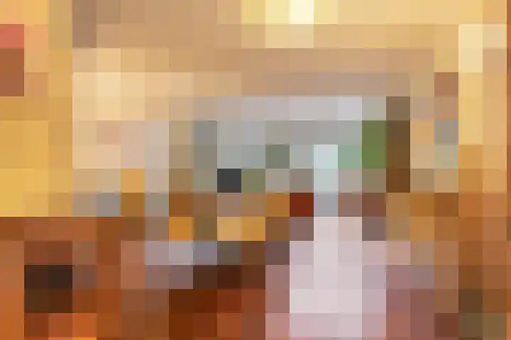 Visotter 24 Leusden thumbnail 12