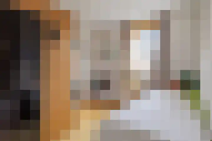 Visotter 24 Leusden thumbnail 20
