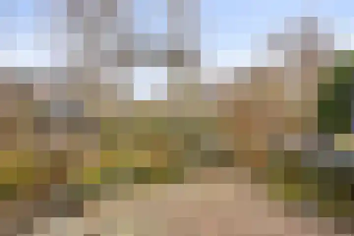 Visotter 24 Leusden thumbnail 26