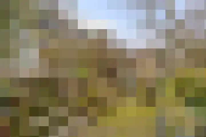 Visotter 24 Leusden thumbnail 27