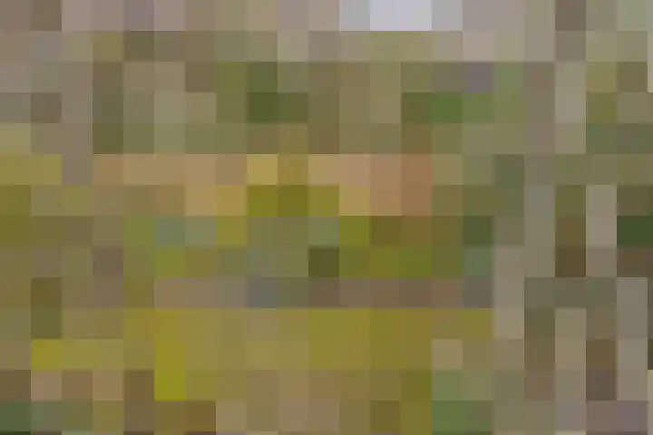 Visotter 24 Leusden thumbnail 29