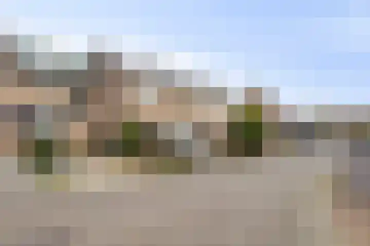 Visotter 24 Leusden thumbnail 30