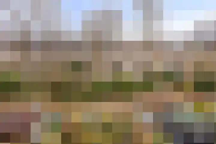 Visotter 24 Leusden thumbnail 31