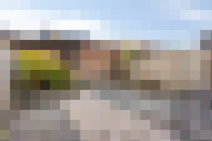 Vissen 21 Elst thumbnail 24