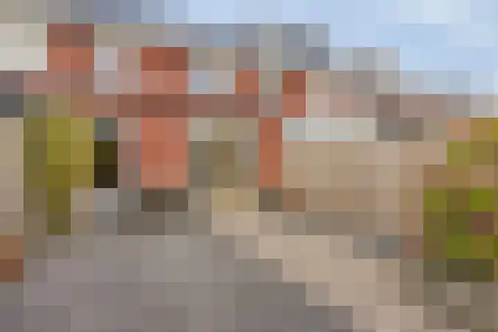 Vissen 21 Elst thumbnail 26