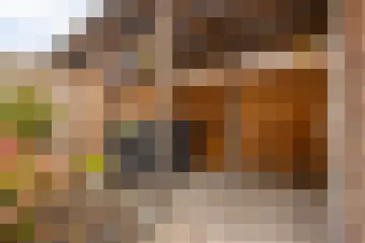 Vissen 21 Elst thumbnail 27