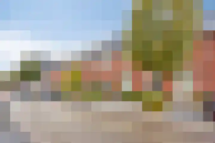 Vissen 21 Elst thumbnail 4